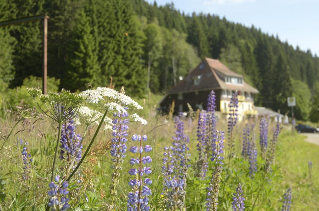 Gasthaus Hotel Loeffelschmiede เฟลด์แบร์ก ภายนอก รูปภาพ